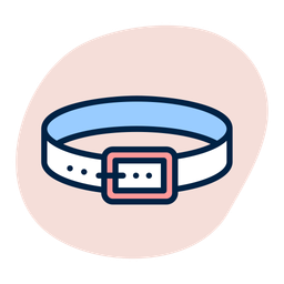 Belt  Icon