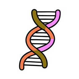 Dna strand  Icon