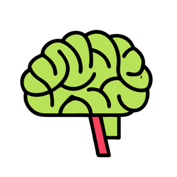 Brain  Icon