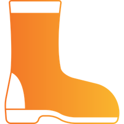 Boot  Icon