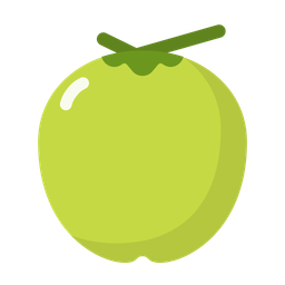 Coconut  Icon