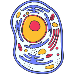 Bacteria  Icon