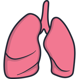 Lungs  Icon