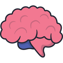 Human Brain  Icon