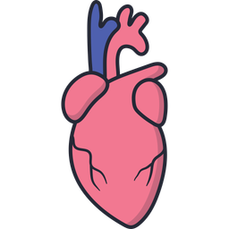 Heart  Icon