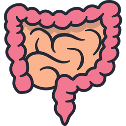 Intestine  Icon