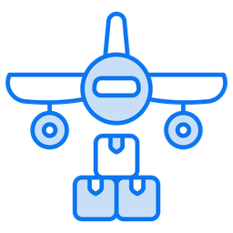 Air cargo  Icon