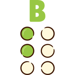 B Braille  Icon