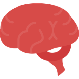 Brain  Icon