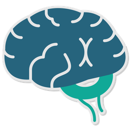 Brain  Icon