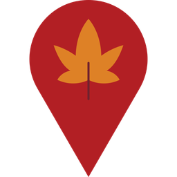 Location  Icon