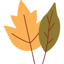 Maple  Icon