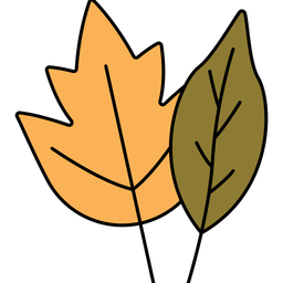 Maple  Icon