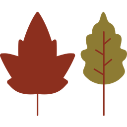 Leaf  Icon