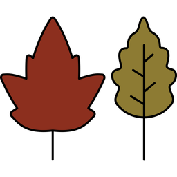 Leaf  Icon