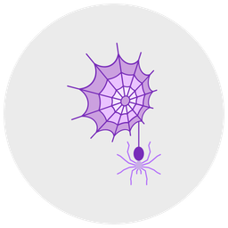 Cobweb  Icon