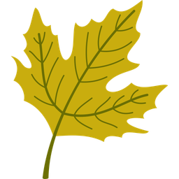 Autumn Leaf  Icon