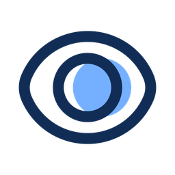 Eye  Icon