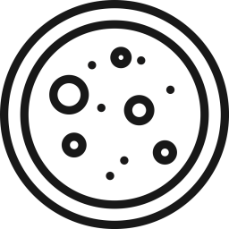 Bacteria  Icon