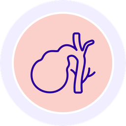 Gallbladder  Icon