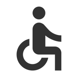 Accessible  Icon