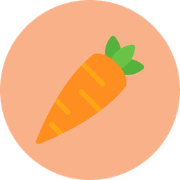 Carrot  Icon