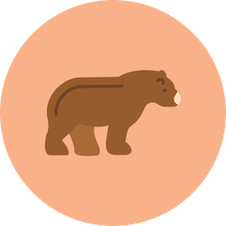 Bear  Icon