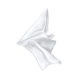 Crumpled tissue  Icon