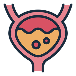 Bladder  Icon