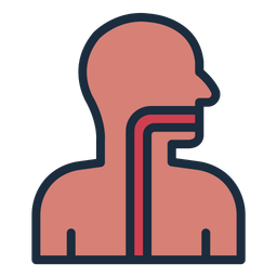 Esophagus  Icon