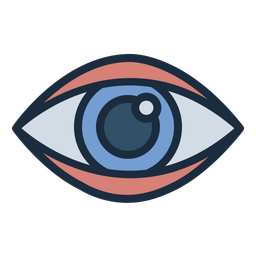 Eye  Icon