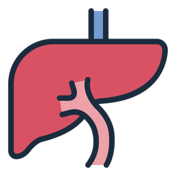 Liver  Icon