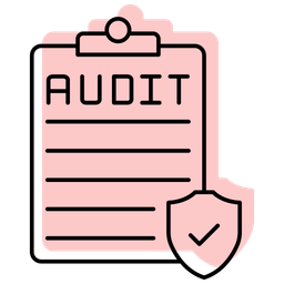 Security Audit  Icon