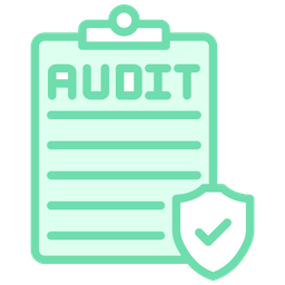 Security Audit  Icon