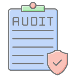 Security Audit  Icon