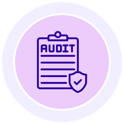 Security Audit  Icon