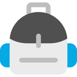 Bag  Icon