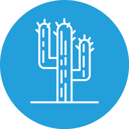 Cacti  Icon