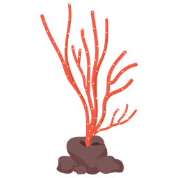 Alcyonium  Icon