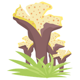 Coral Cactus  Icon