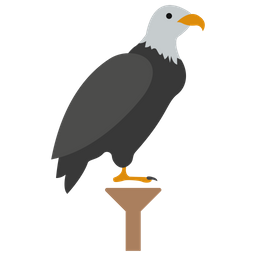 Weißkopfseeadler  Symbol