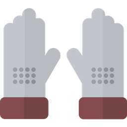 Gloves  Icon