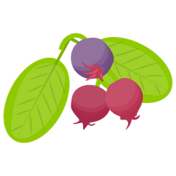 Black Currant  Icon