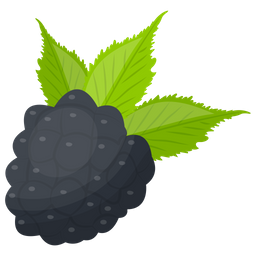 Black Raspberry  Icon