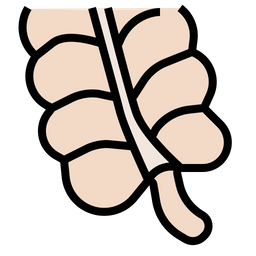 Appendix  Icon