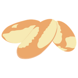 Brazil Nuts  Icon