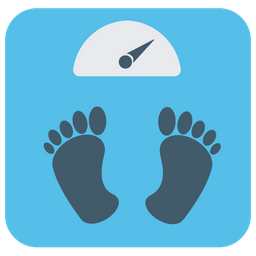 Bathroom Scale  Icon