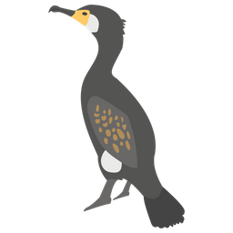 Kormoran  Symbol