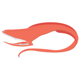 Eel  Icon