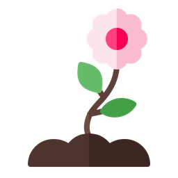 Flower  Icon